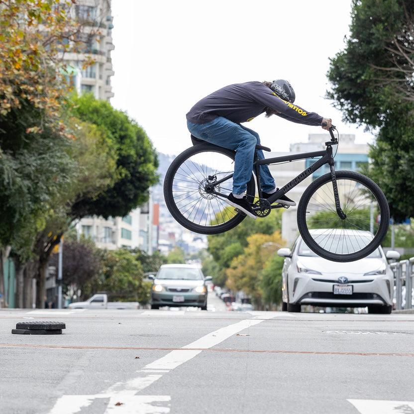 SE Big Flyer 29" BMX, Matte Black 2027, bixcbybicycles.com