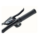 Retrospec Ascent 26" Mountain Bike - Step Through 21 Speed, Matte Black, bixbybicycles.com