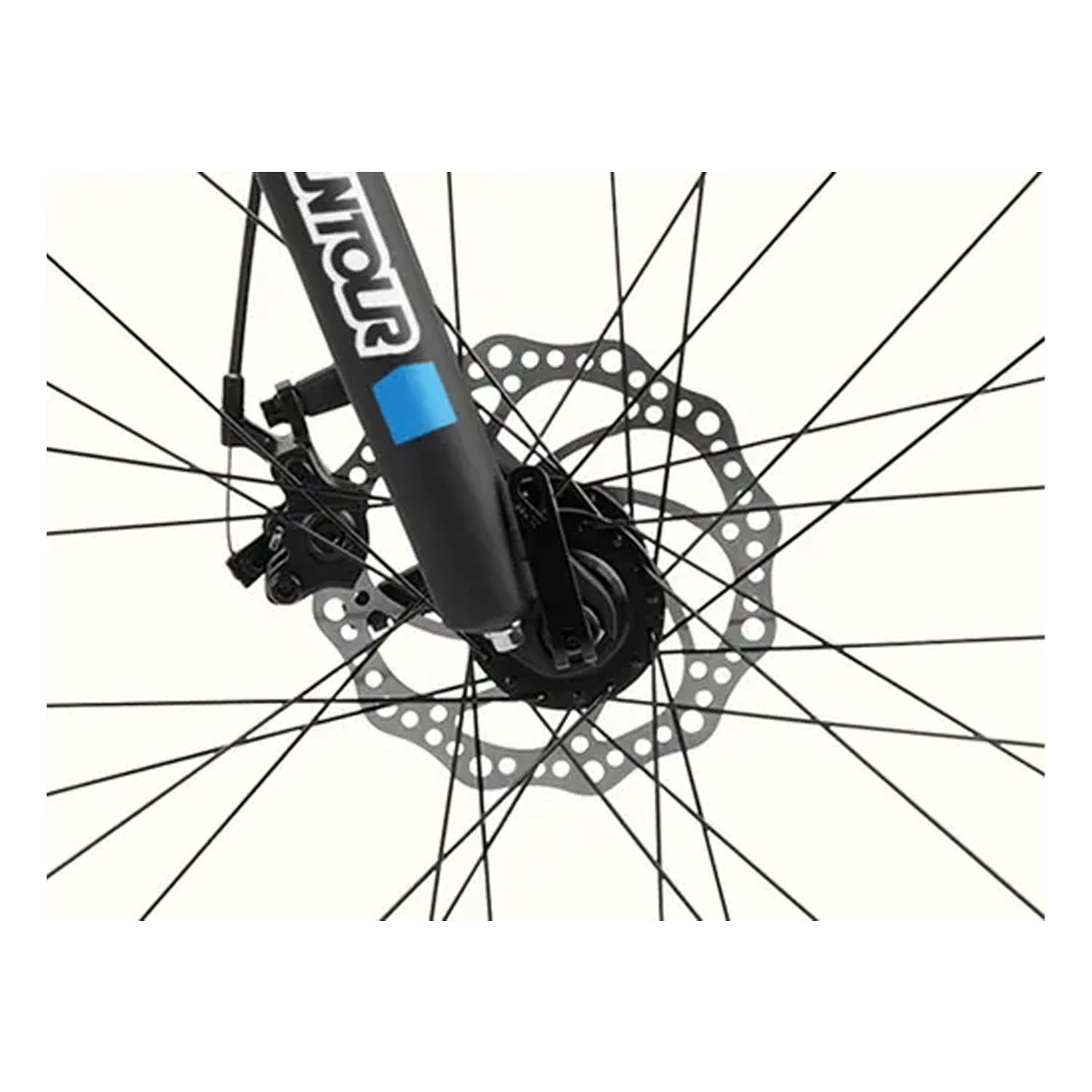 Retrospec Ascent 26" Mountain Bike - Step Through 21 Speed, Matte Black, bixbybicycles.com