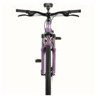 Retrospec Ascent 26" Mountain Bike - Step Through 21 Speed, Matte Plumb, bixbybicycles.com