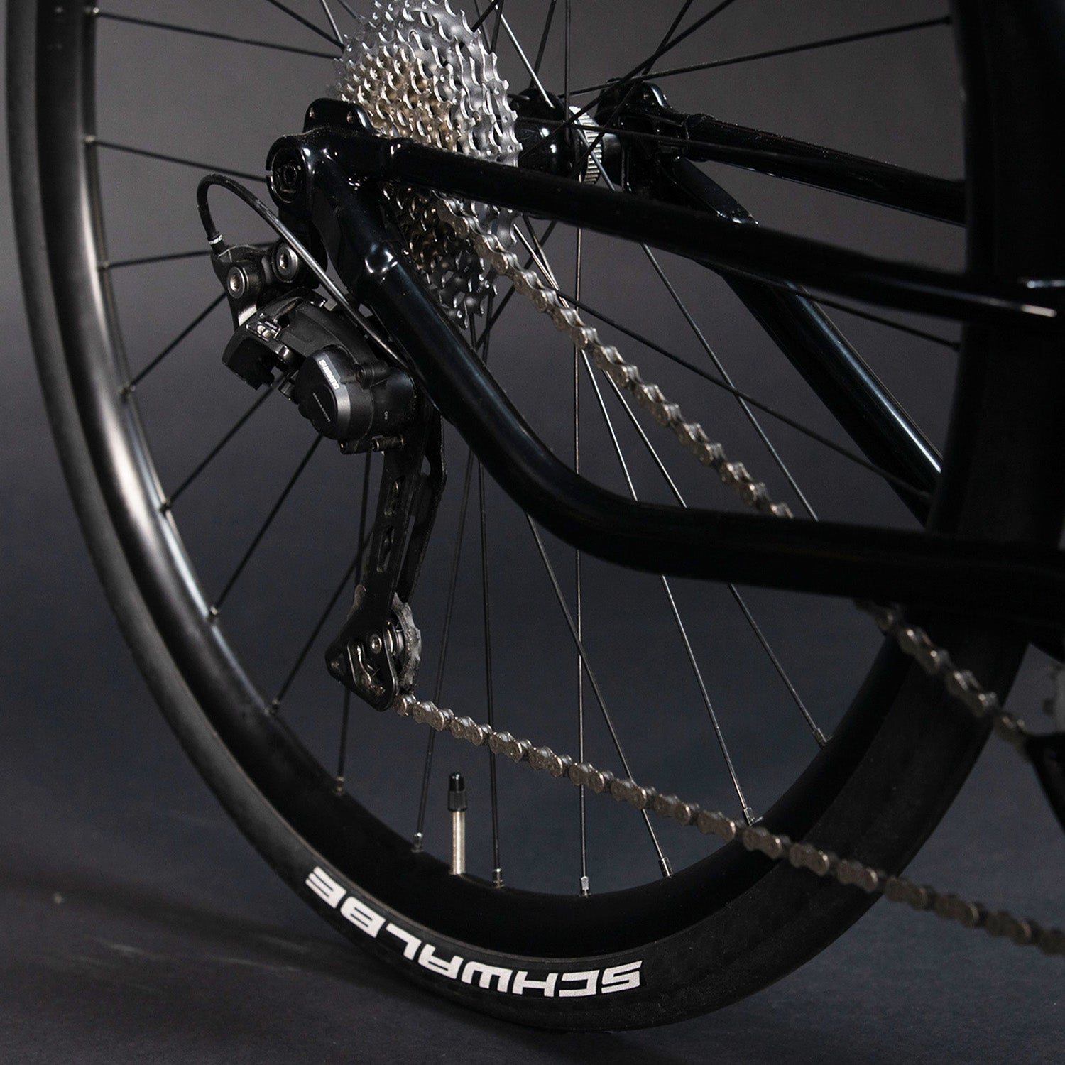 TerraTrike Spyder - Shadow Black 2022 rear hub, Bixby Bicycles, Oklahoma