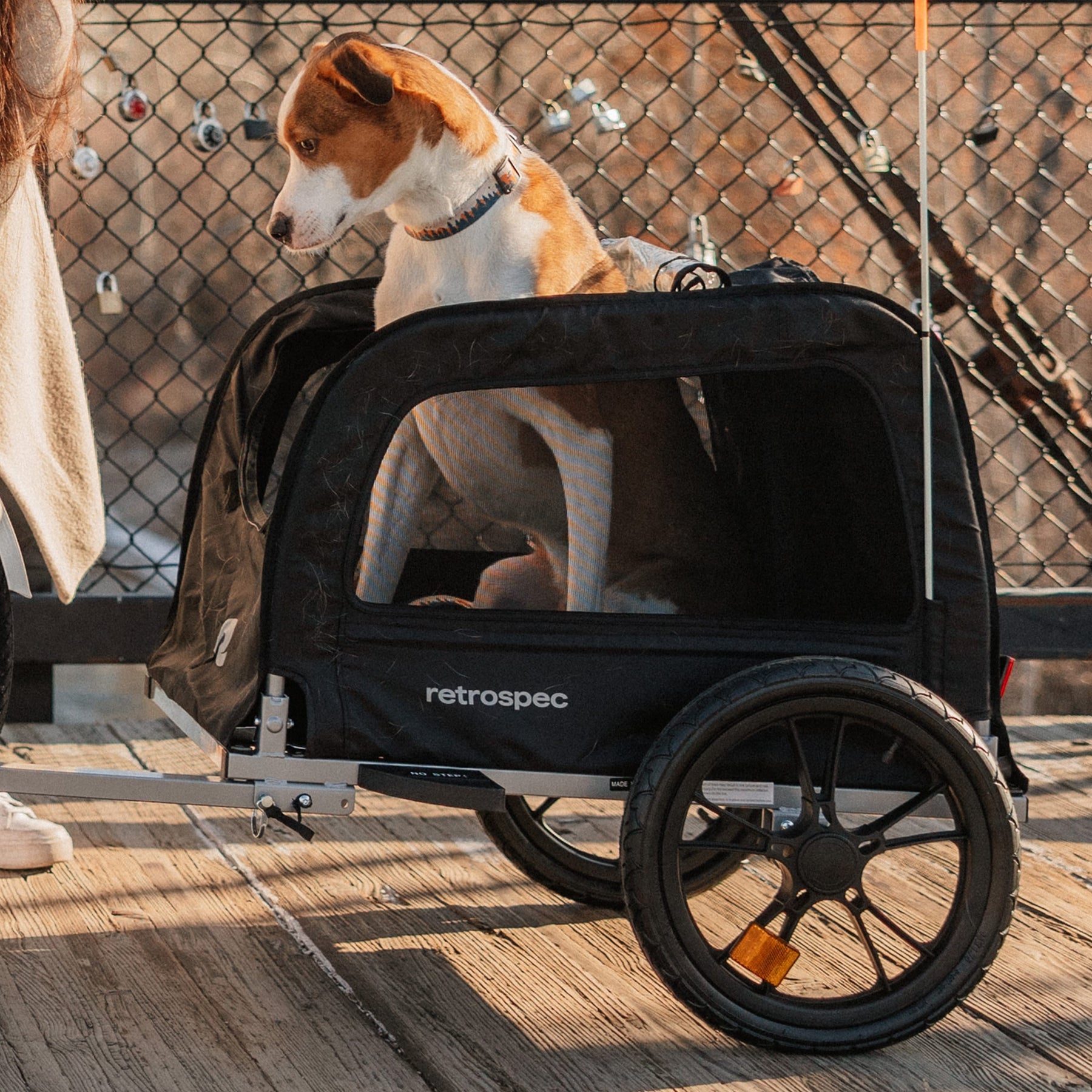 Retrospec Rover Waggin, Pet Trailer, Black, bixbybicycles.com