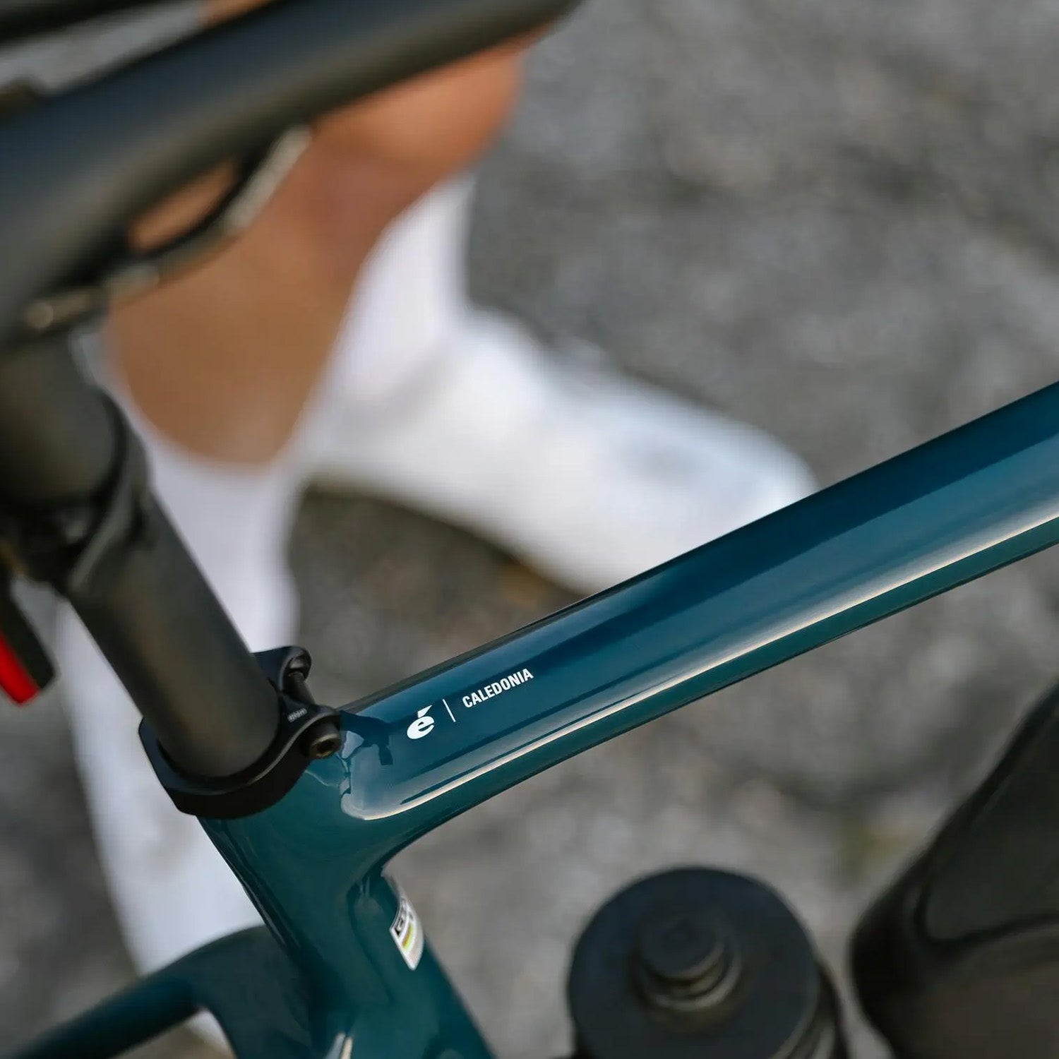2027 Cervélo Caledonia Road Bike, FORCE AXS, Nightshift – Bixby
