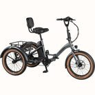 Retrospec Boca Rev Trike 500W/48V, Matte Graphite, Adult Trike, bixbybicycles.com