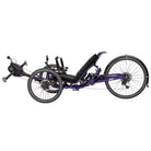 Catrike Dumont ECAT 2020, E-Trike purple, bixbybicycles.com