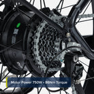 Troxus Explorer Plus iQ St EBIKE, 750 Watt, Black Matte, bixbybicycles.com