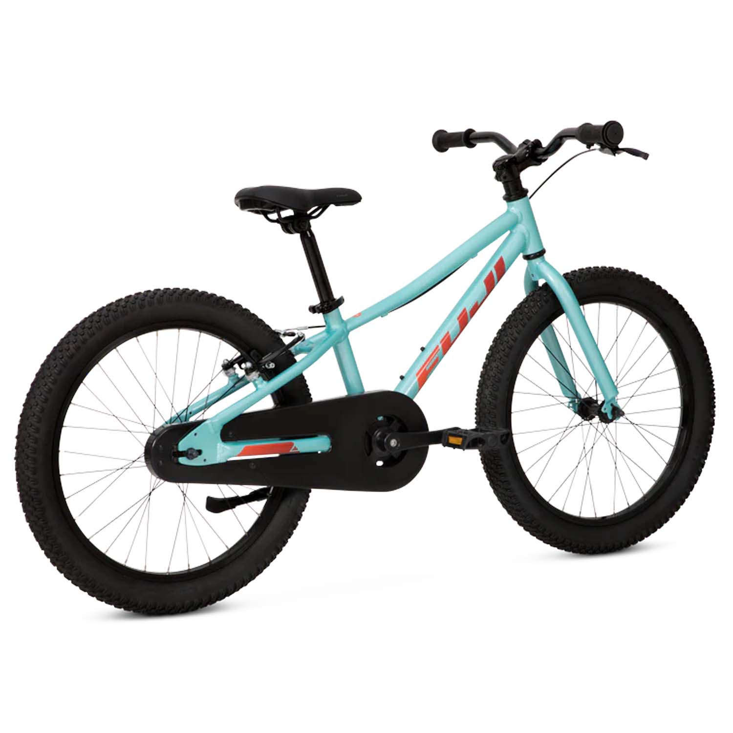 Fuji Dynamite 20