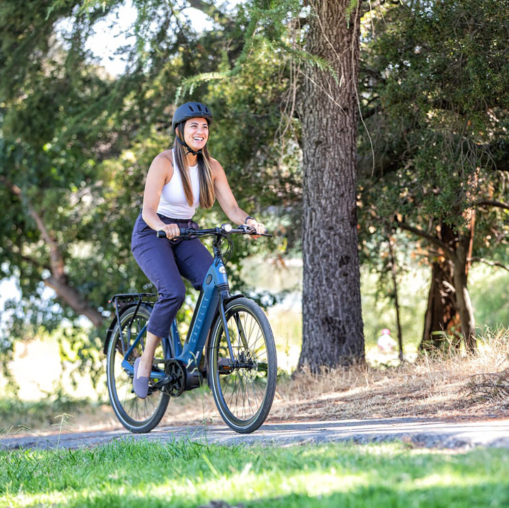 kobegle　セルバイタルシリーズ Gazelle E-Bikes | Authorized Dealer – Bixby Bicycles