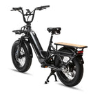 Troxus Lynx Cargo 20" Fat Tire EBIKE, 750 Watt, Charcoal, One Size, bixbybicycles.com