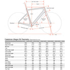 Cervélo Caledonia Ulterga Di2, 2022 (Oasis) - 51cm geometry, Bixby bicycles, Oklahoma