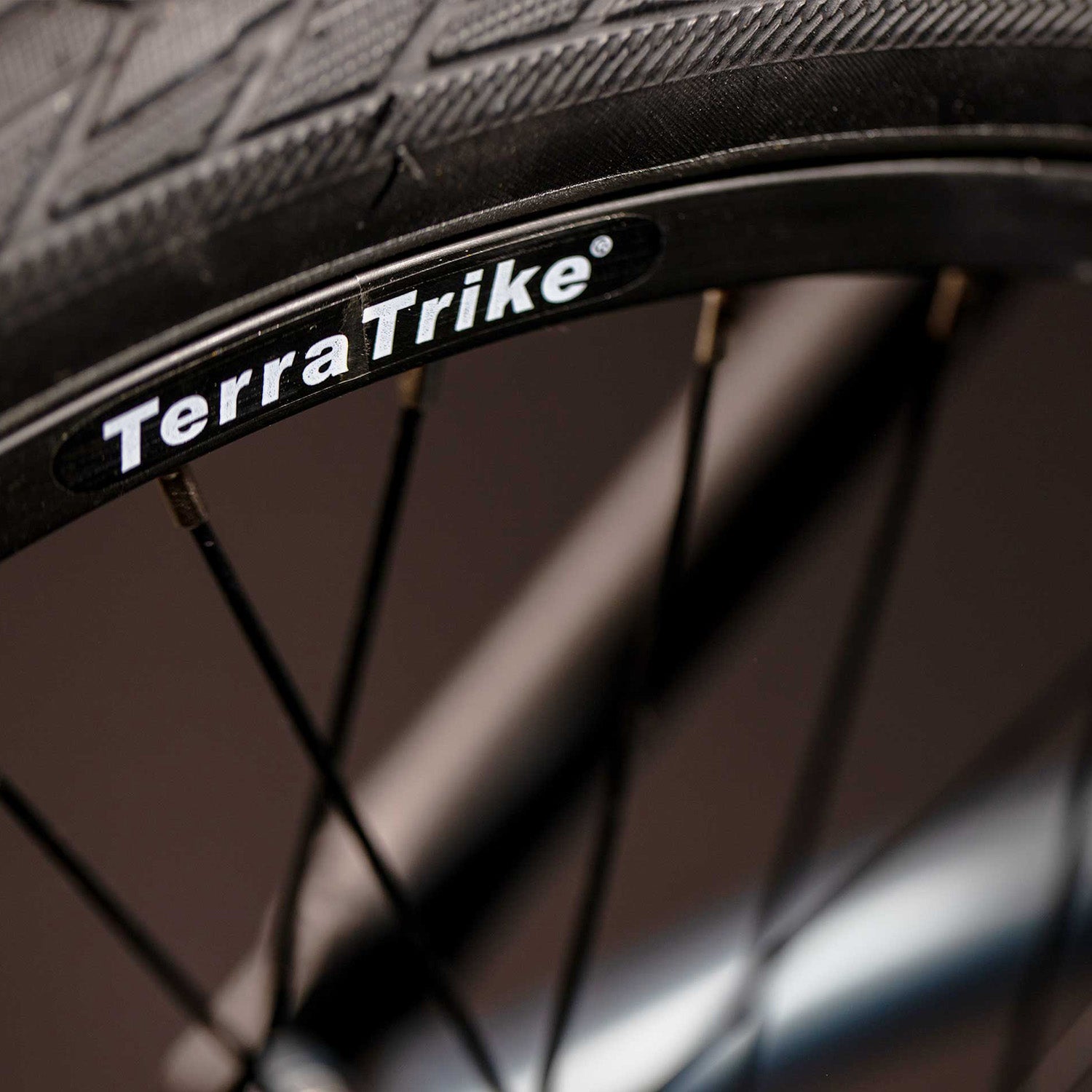 Terratrike wheels sale